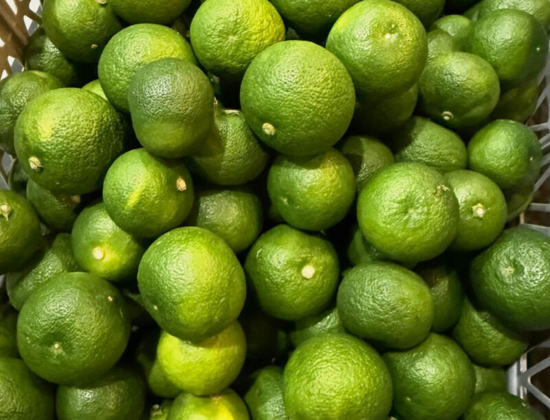 “すだち”で香りをまとう
名物メニュー